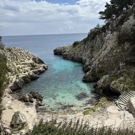 Federiche's - Diso *